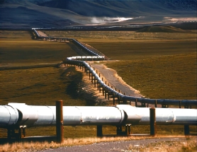 overground petroleum pipelines 